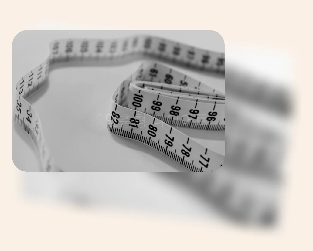 맞춤형 다이어트_1_subsection