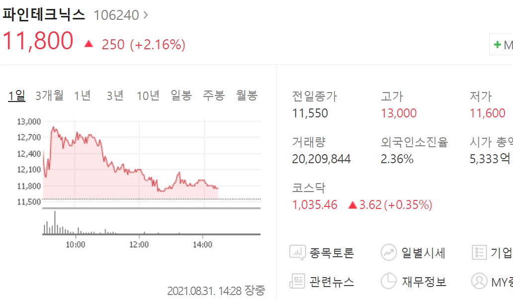 파인테크닉스-주가