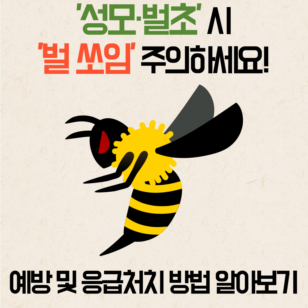  '성모·벌초'시, '벌 쏘임' 주의하세요!