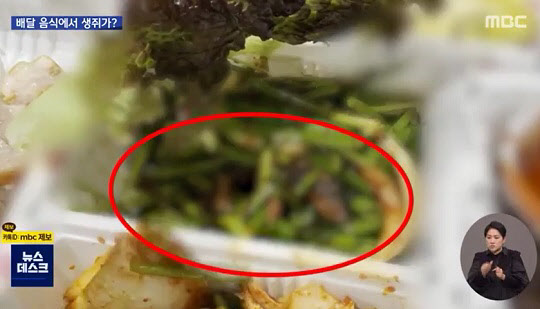  "'족발 쥐' 어디에요?"..누리꾼 지목 프랜차이즈 홈피 '접속 불가'