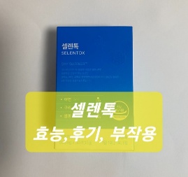 셀렌톡