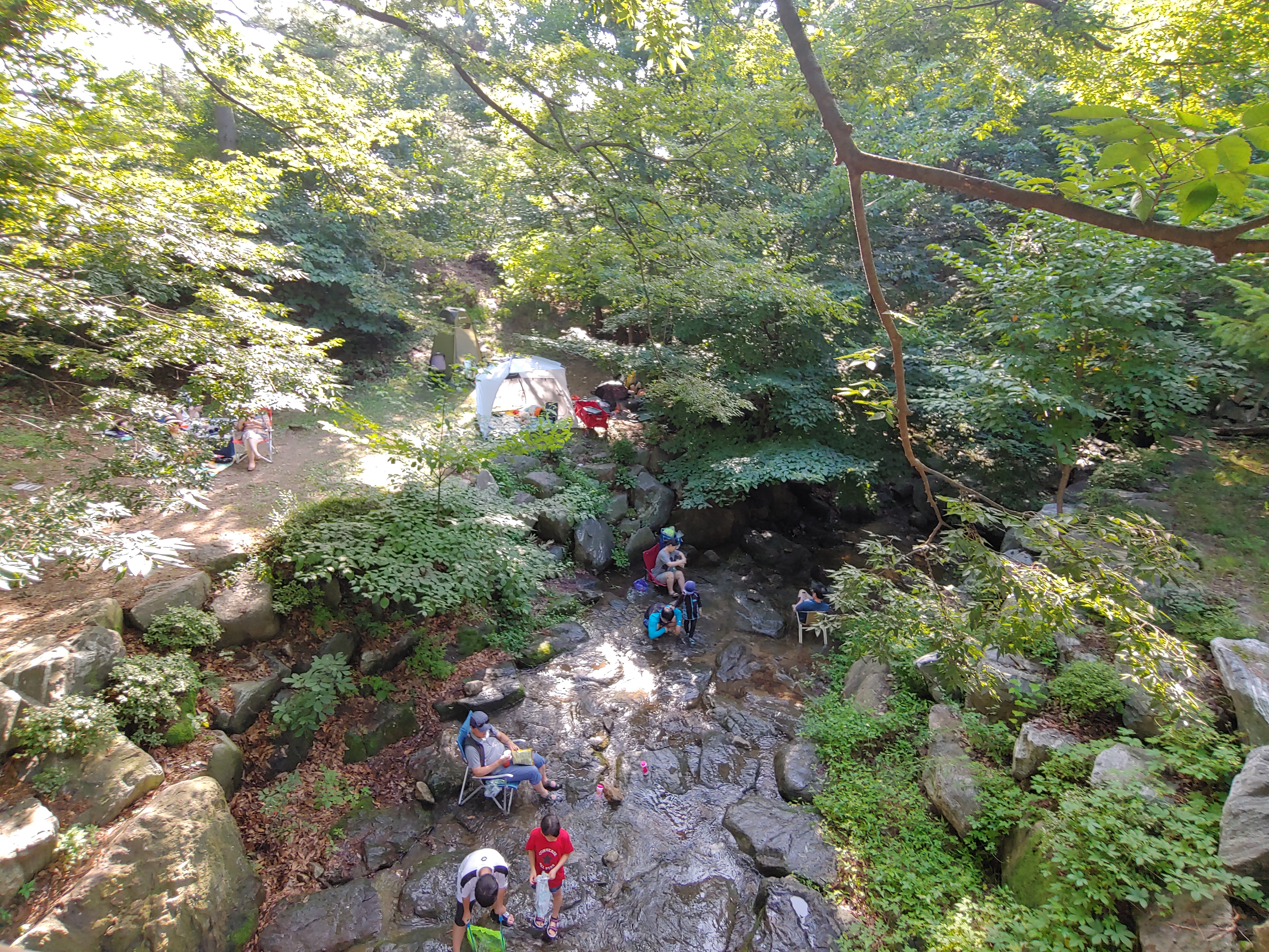 용인 자연 휴양림 느티골 5번