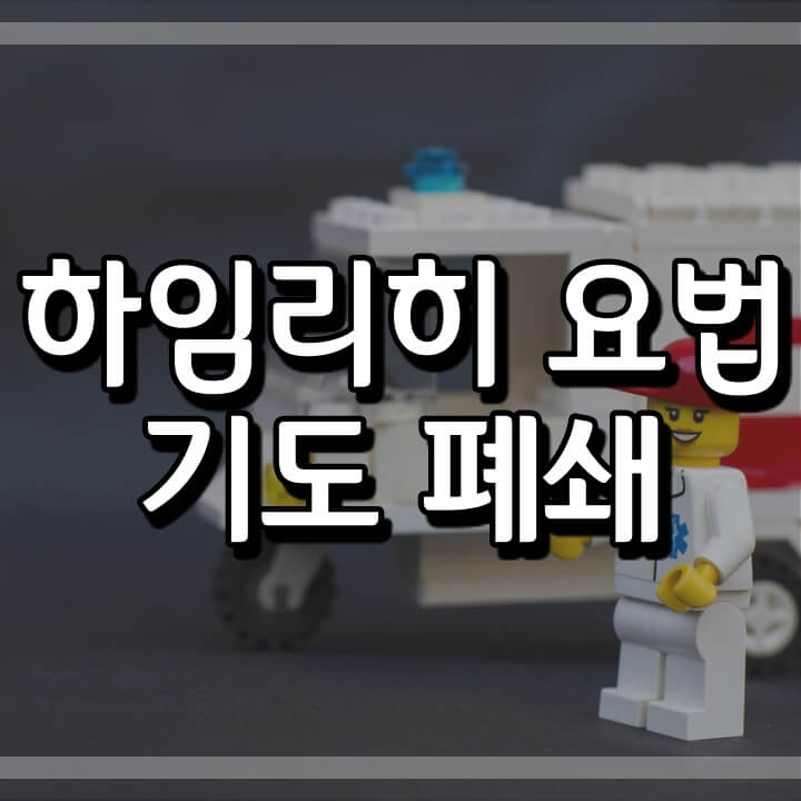  하임리히 요법 ( 음식물에 기도가 막혔을 때)