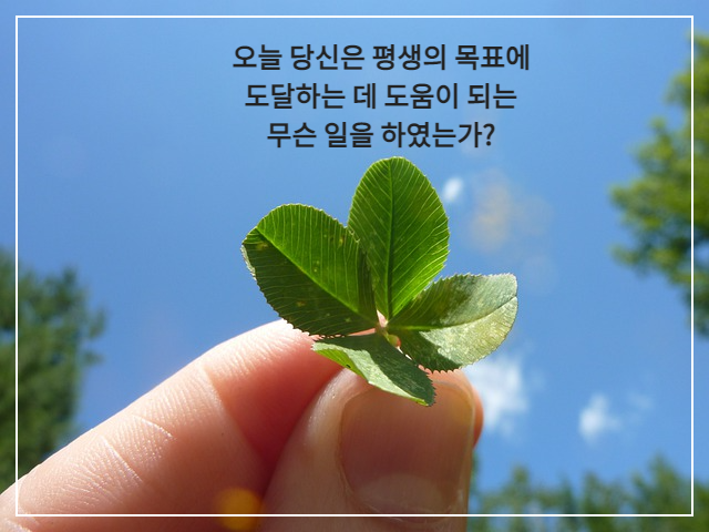 손가락으로 잡고 있는 네잎클로버