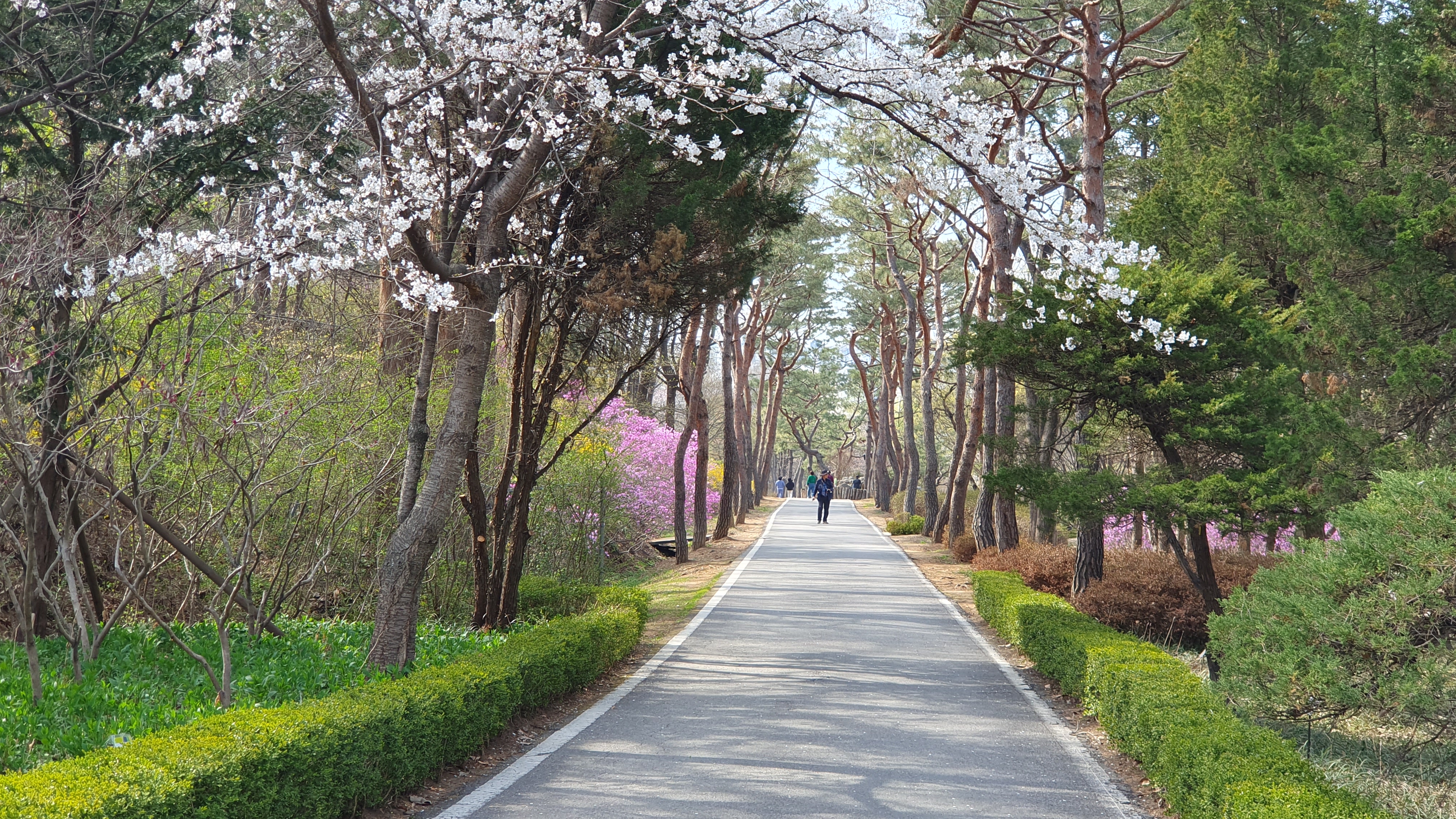 물향기수목원