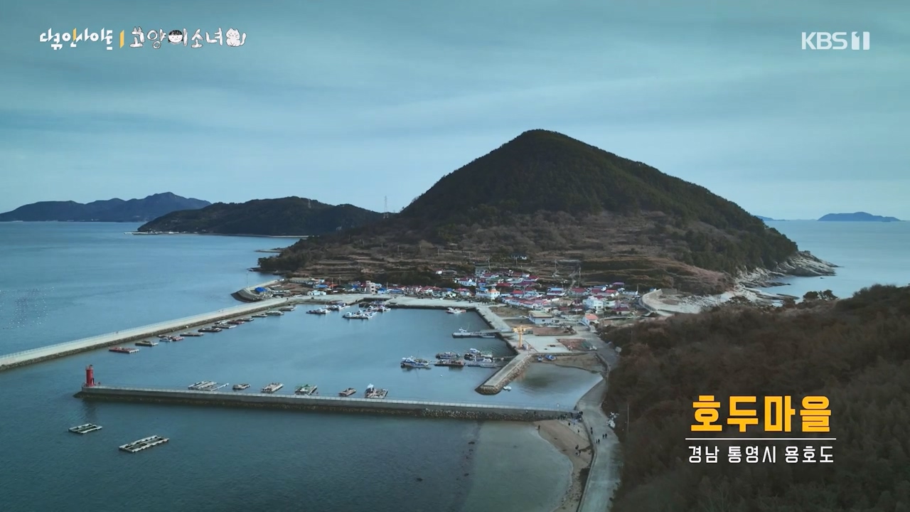 다큐 인사이트.E189.240524p-NEXT.mp4_20240524_203217.696.jpg