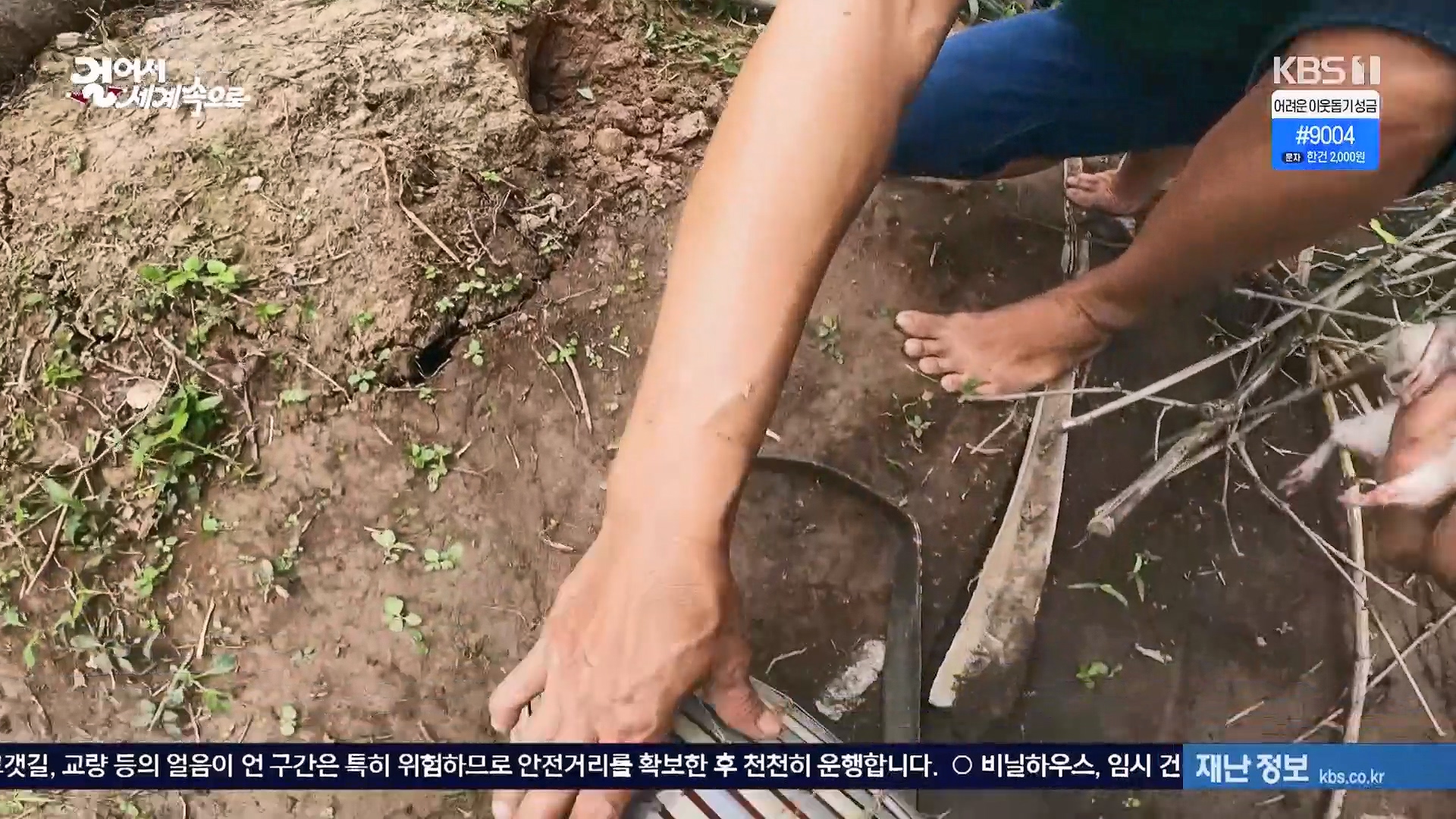 걸어서 세계속으로.E826.240120p.H264-F1RST.mp4_20240716_202144.912.jpg