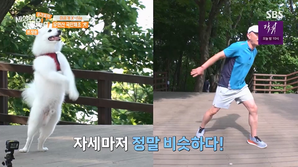 순간포착 세상에 이런일이.E1234.230624p.H264-F1RST.mp4_20230626_211201.680.jpg