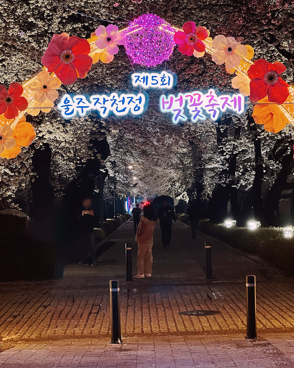 제5회-작천정-벚꽃-축제
