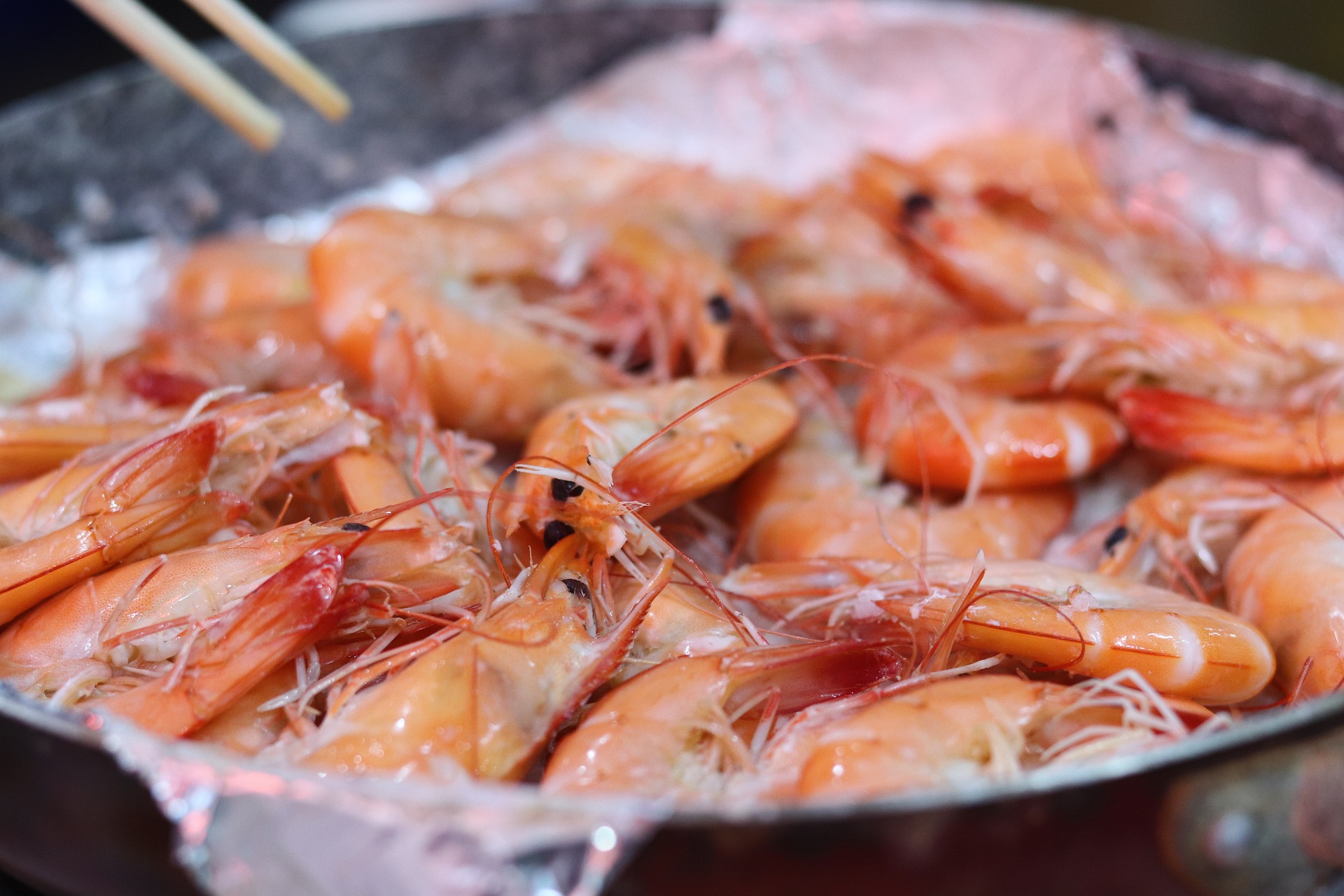 대하-shrimp