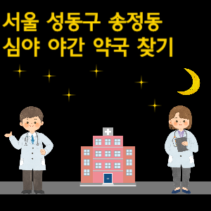 서울 성동구 송정동 심야 야간 24시 약국 찾기