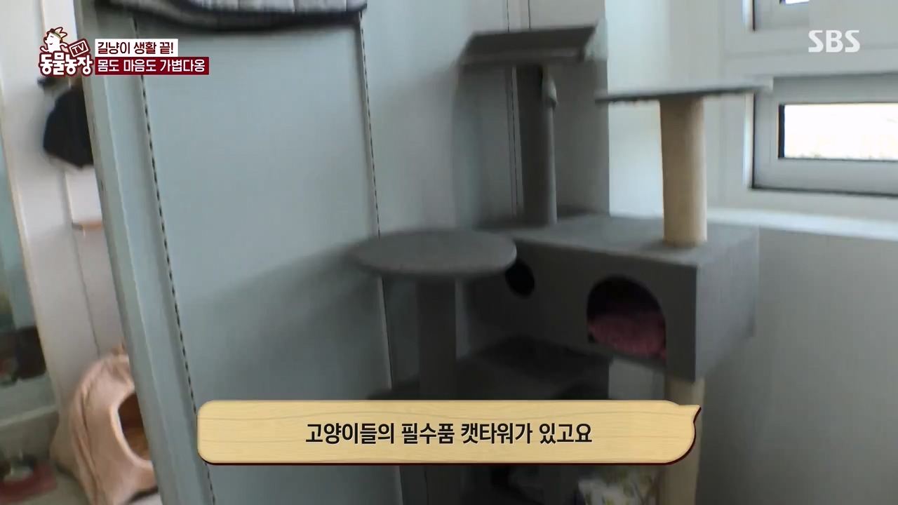 TV 동물농장.E1143.231030p-NEXT.mp4_20231029_164146.759.jpg