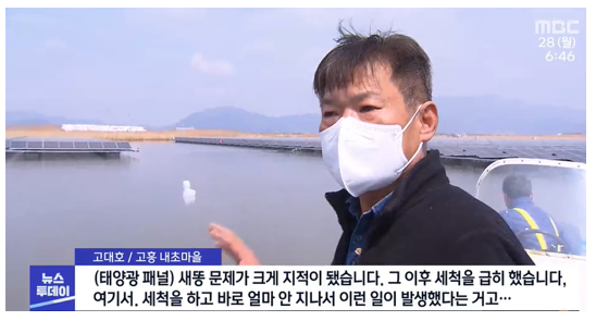 물고기 떼죽음 직전 태양광 패널 세척 작업 진행됨 (출처-MBC뉴스)