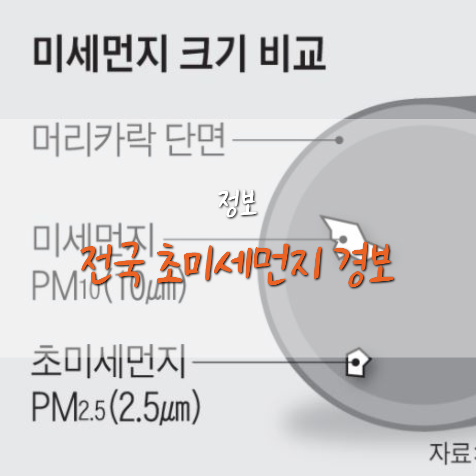  전국 초미세먼지 '나쁨', KF94 마스크 꼭 착용하세요!