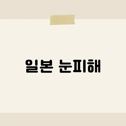 일본 눈피해, 최근 발생한 자연재해의 심각성은?