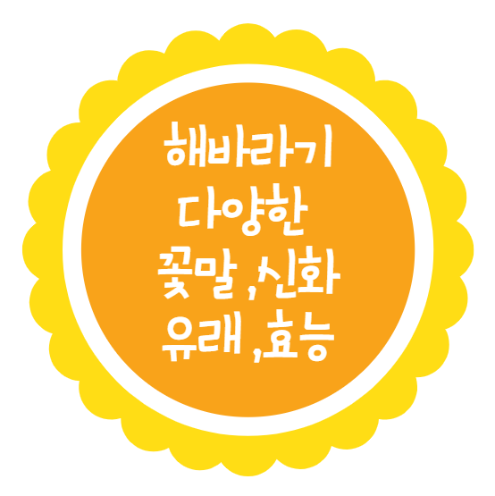  해바라기 다양한 꽃말 신화 유래 효능