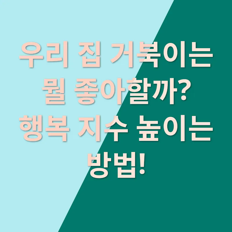 육지거북이 행복_1
