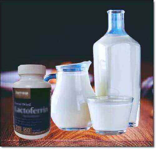 락토페린 보충제와 우유