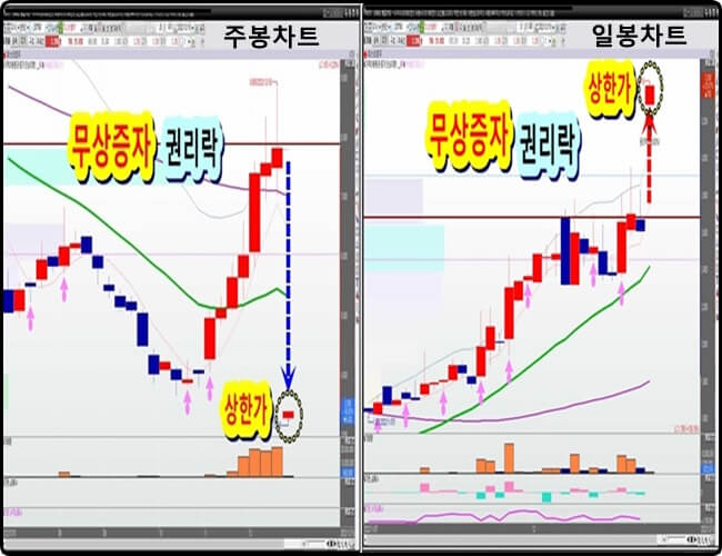 비교-차트