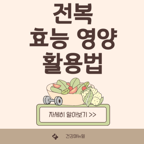 전복 효능, 영양, 활용법