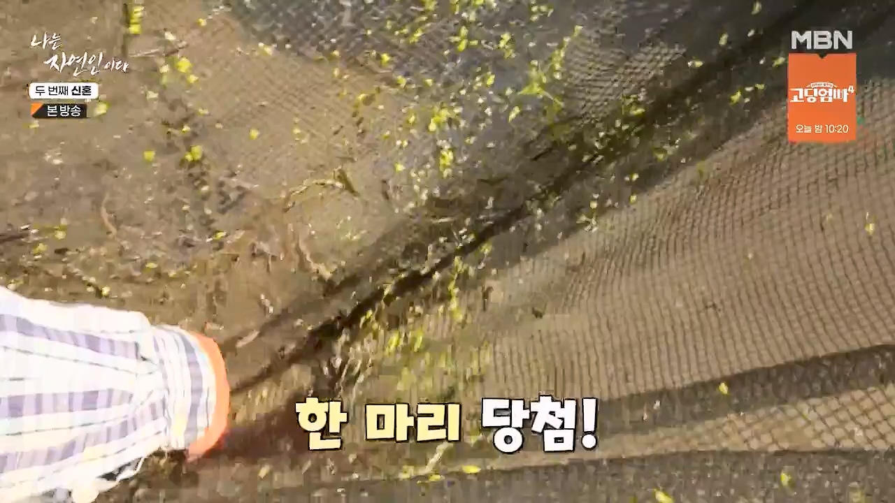 나는 자연인이다.E572.230921p-NEXT.mp4_20230921_202633.130.jpg