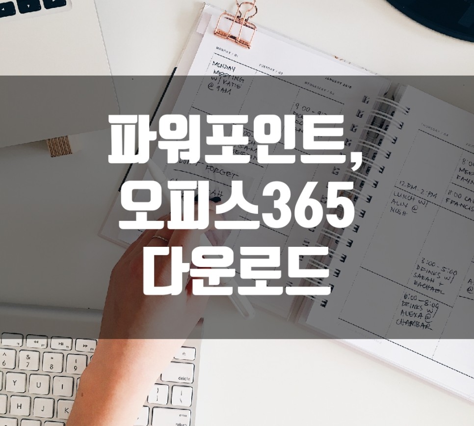 마이크로소프트 다운로드센터 홈페이지 파워포인트 다운로드,설치하려면?! :: 마이크로소프트 4