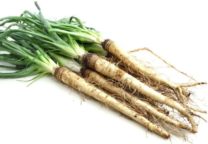  샐서피 Salsify 맛좋고 영양가 많은 잘 알려지지 않은 뿌리 식물