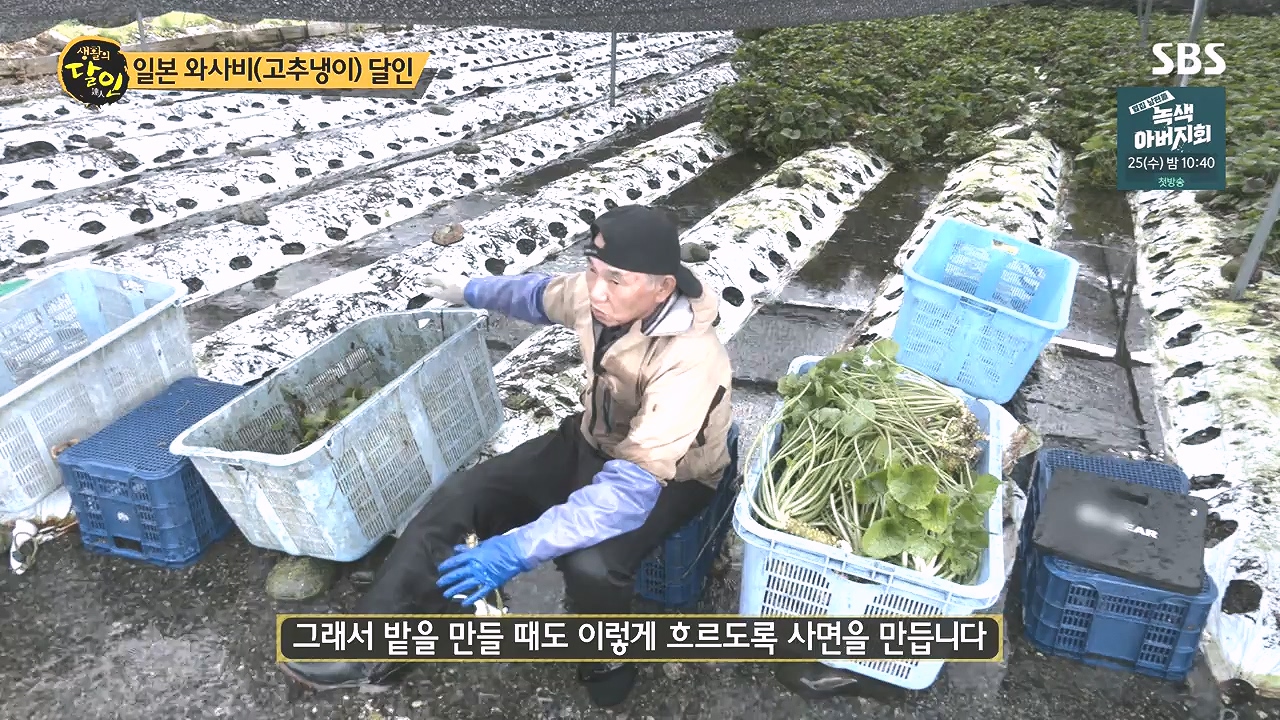 생활의 달인.E908.231017p-NEXT.mp4_20231017_202213.542.jpg