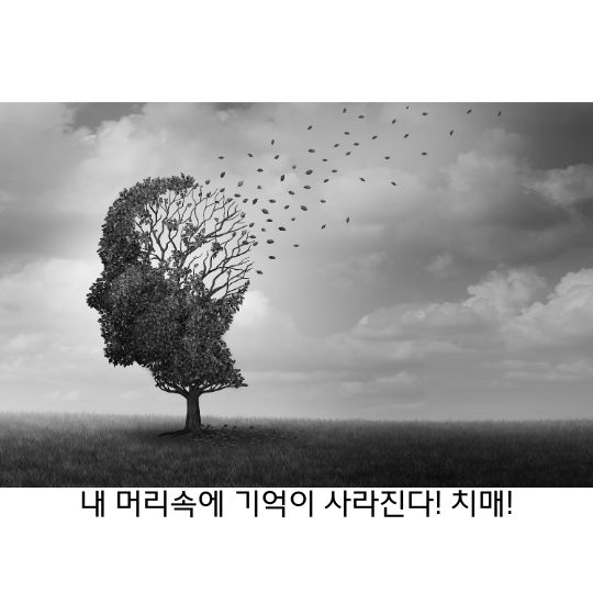  치매 주변 지인에게 영향을 주는 피하고 싶은 질환!