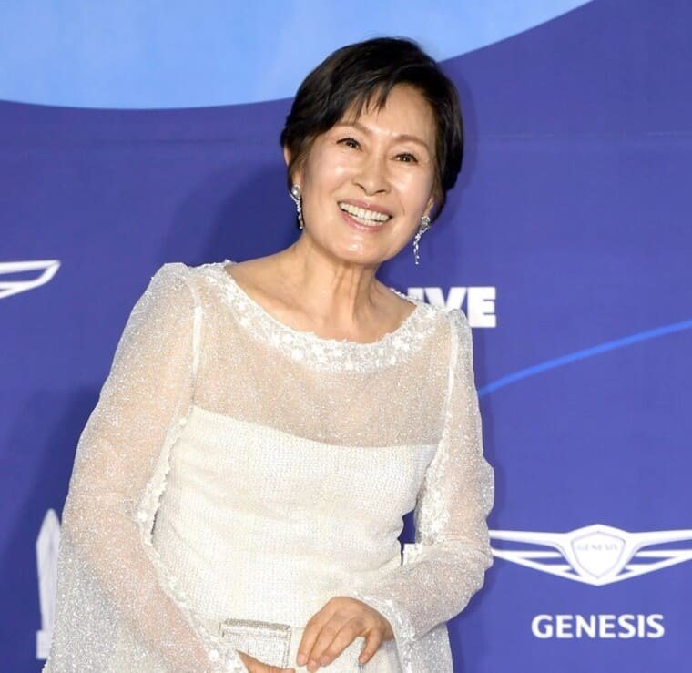 배우-김혜자