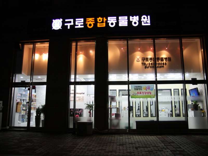 2호선 도림천역 애견미용 잘하는 곳 BEST4 | 펫구름 | 24시 신도림S동물의료센터 | 구로종합동물병원 | 부르주네일 | 총정리 - 3. 구로종합동물병원 소개 - 3.1 병원의 운영 정책 3.1 병원의 운영 정책