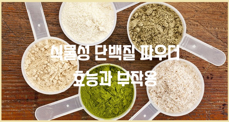 식물성 단백질 파우더 효능과 부작용