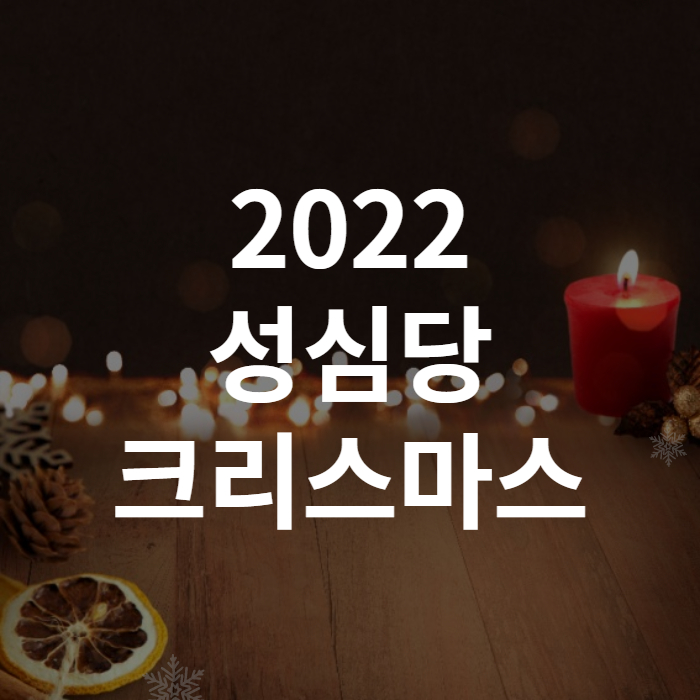 2022 성심당 크리스마스 케이크