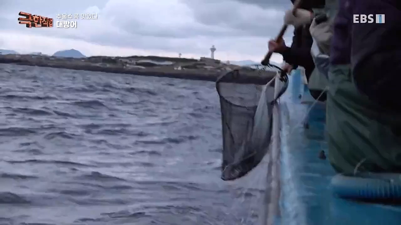 [극한직업] 추울수록 맛있다 장(長)마와 대방어.E734.221218p-NEXT.mp4_20221219_193412.527.jpg