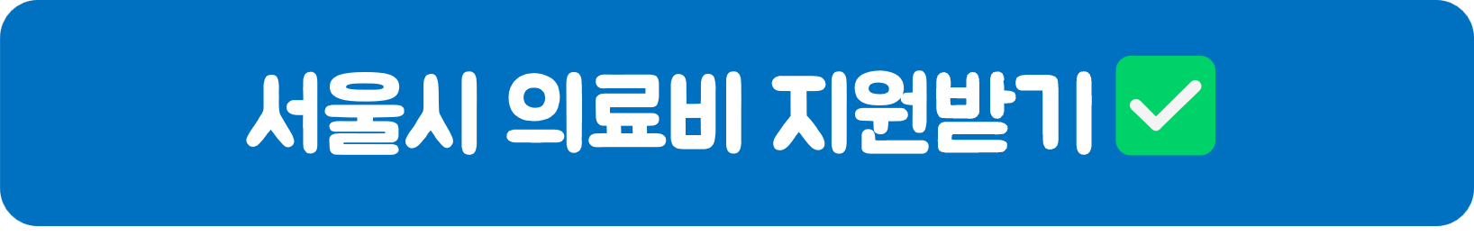 서울시 의료비 신청하기