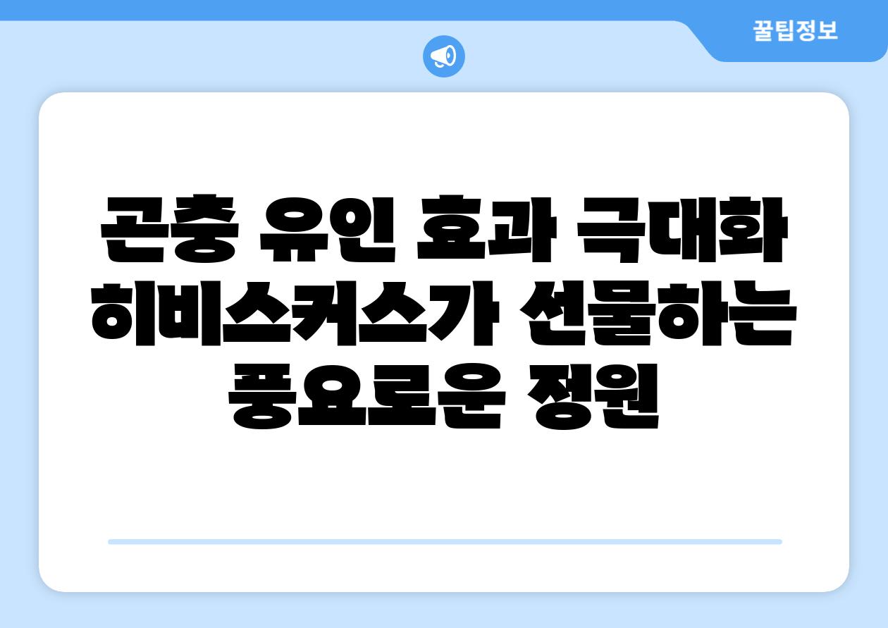 곤충 유인 효과 극대화 히비스커스가 선물하는 풍요로운 정원