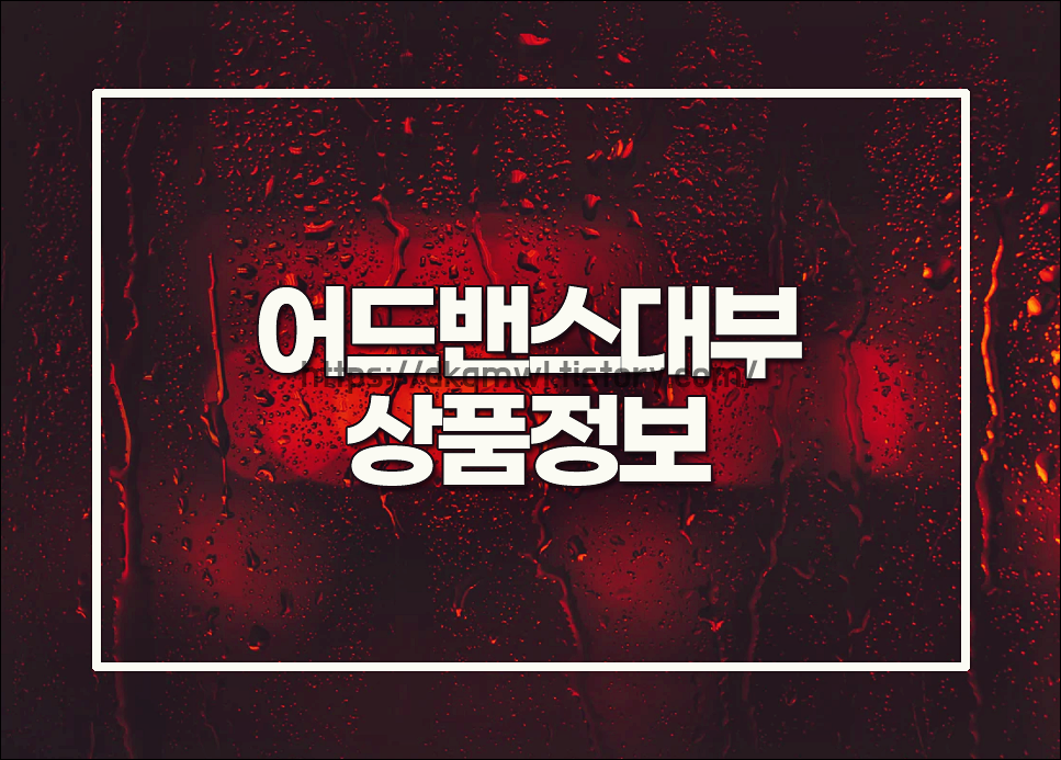  어드밴스대부 상품정보 알아보면