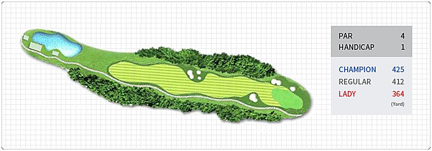 스프링힐스CC 골프 코스 2번 홀