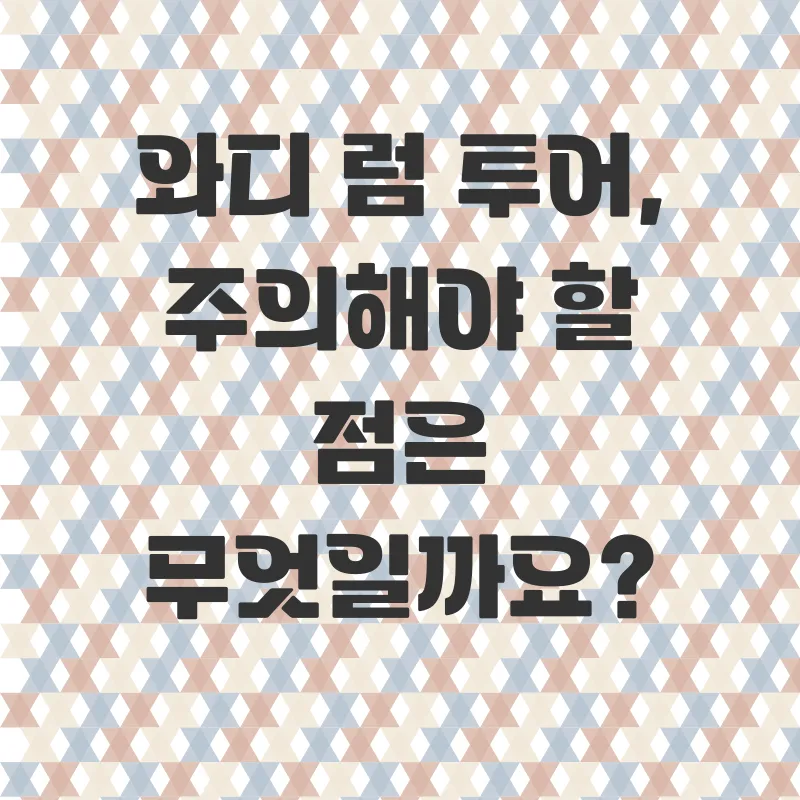 와디럼 사막 투어_3