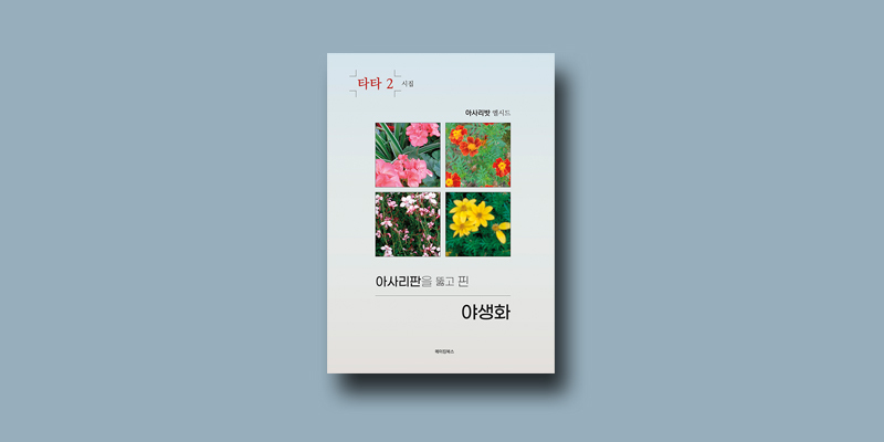 아사리판 이미지