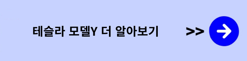 테슬라y