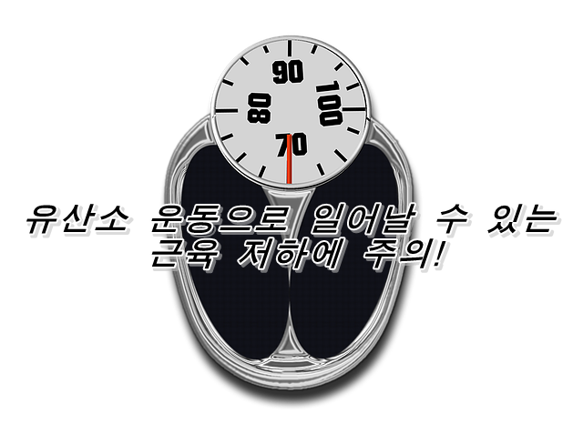  다이어트 효과가 높은 운동 방법은?