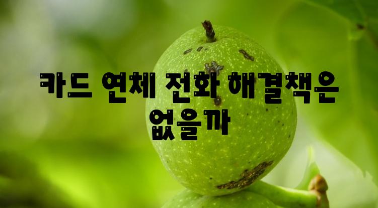 카드 연체 📞전화 해결책은 없을까