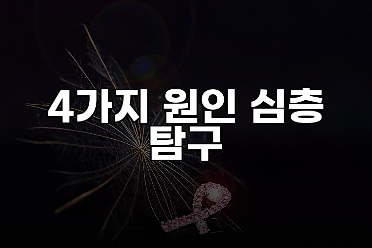 4가지 원인 심층 탐구