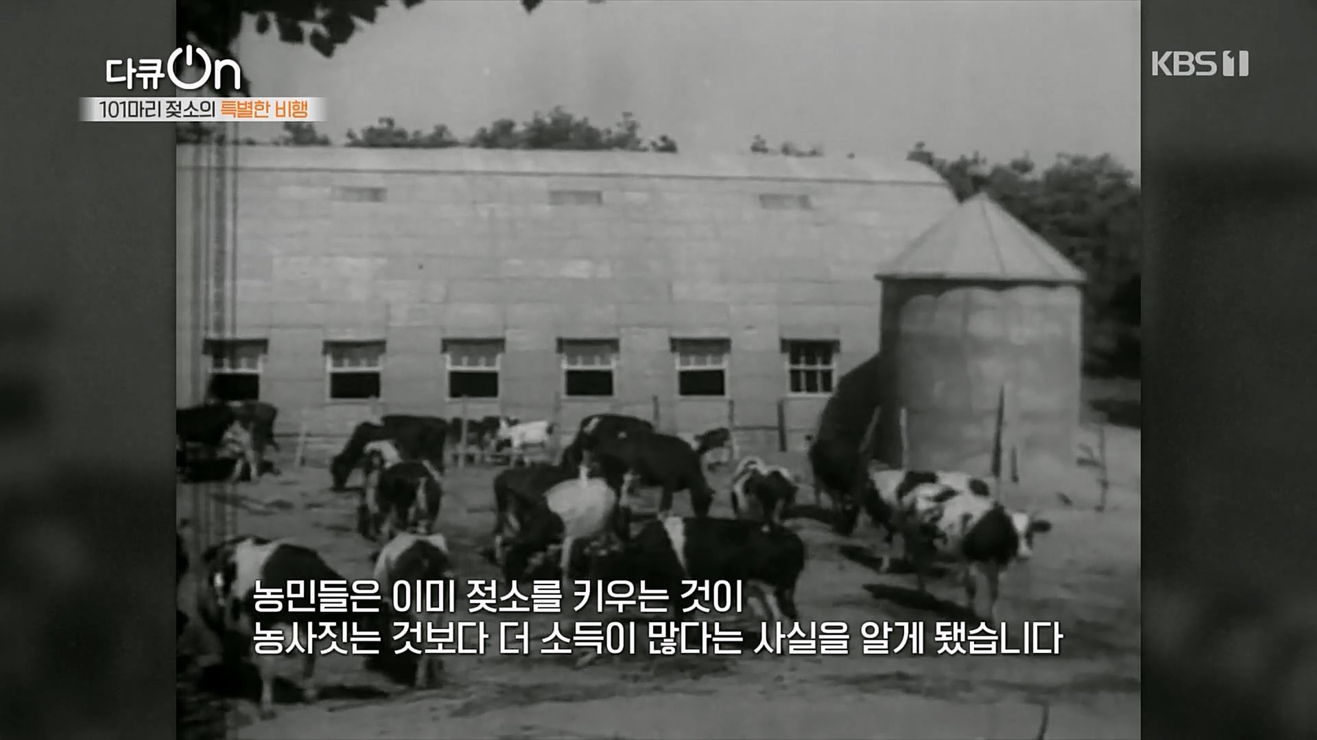 다큐 On.E184.230203p.H264-F1RST.mp4_20230211_173926.974.jpg