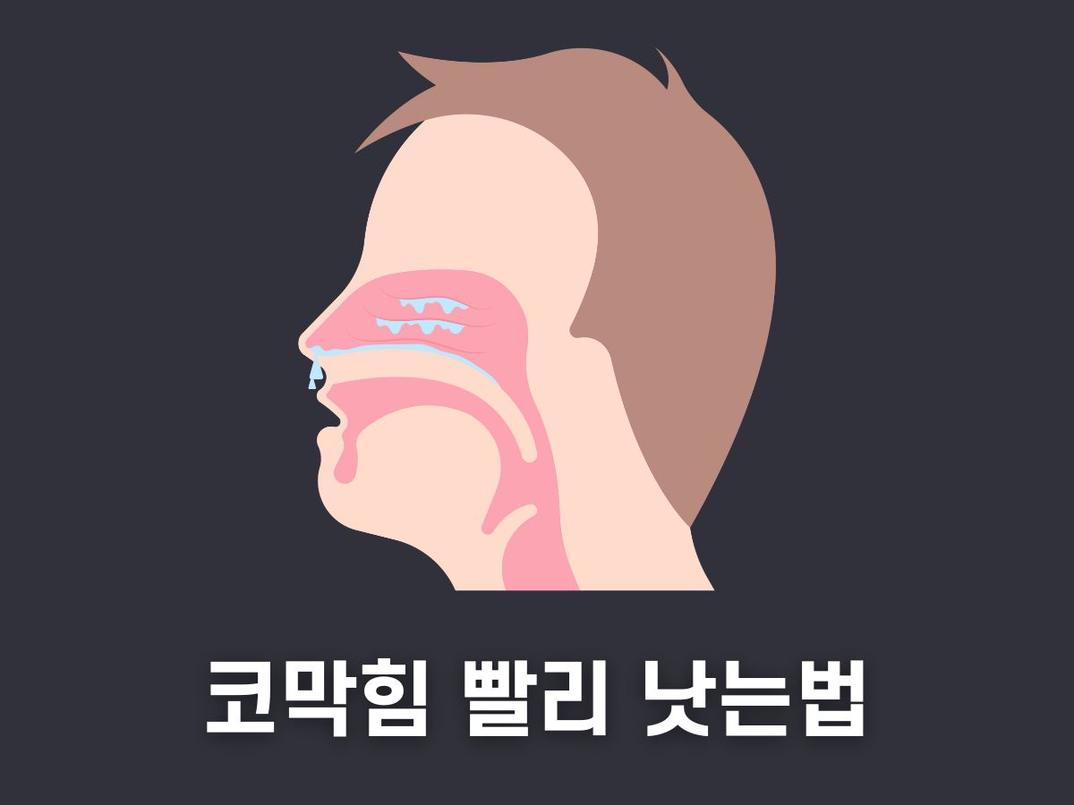 코막힘 빨리 낫는법