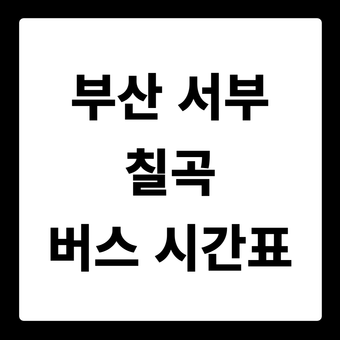 부산 서부 칠곡 버스 시간표