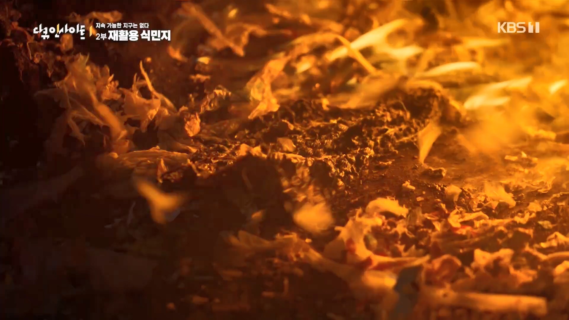 다큐 인사이트.E181.240118p.H264-F1RST.mp4_20240119_202908.832.jpg