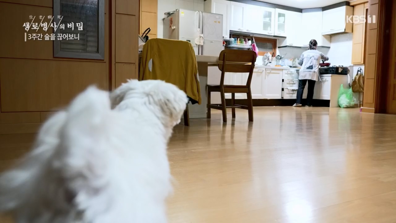 생로병사의 비밀.E865.230420p.H264-F1RST.mp4_20230420_202152.853.jpg