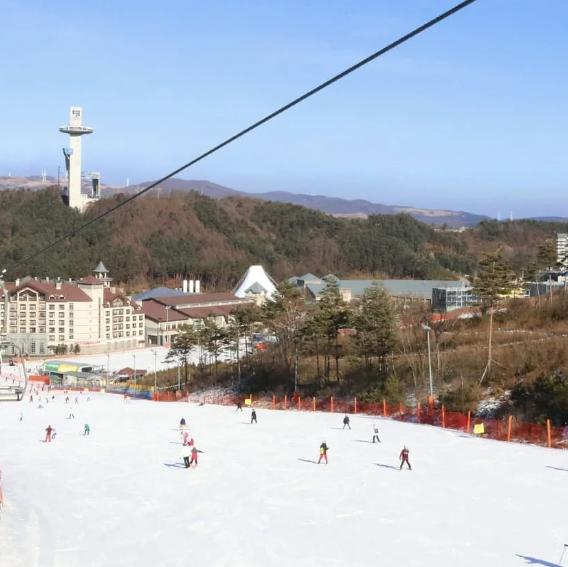 평창 가볼만한곳